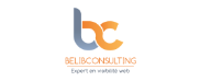 Belib Consulting